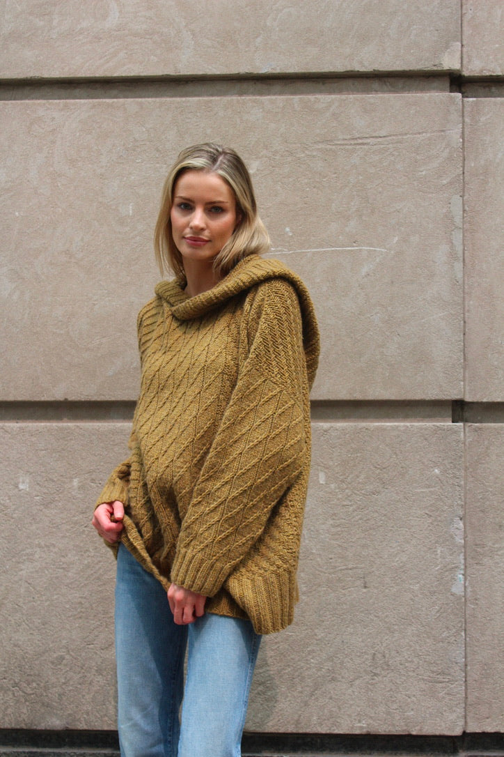 Siegfried Hooded Sweater