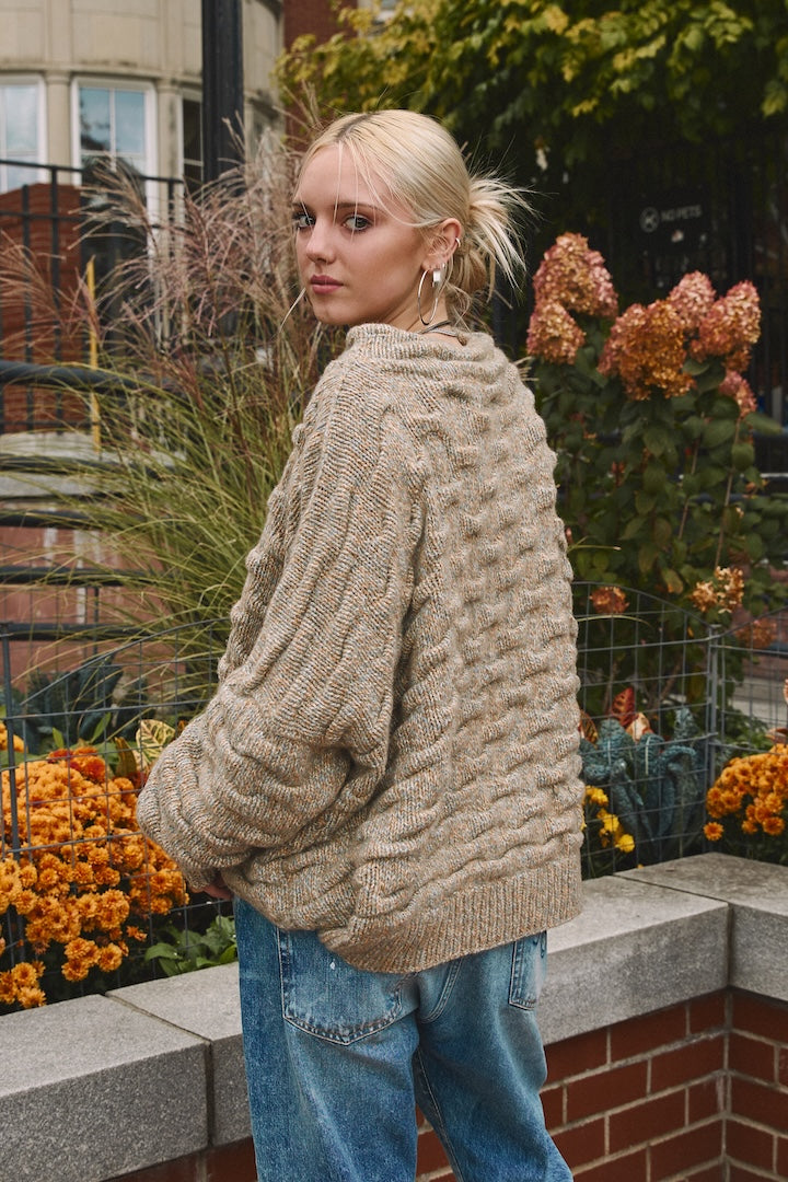 Shar Pei Sweater