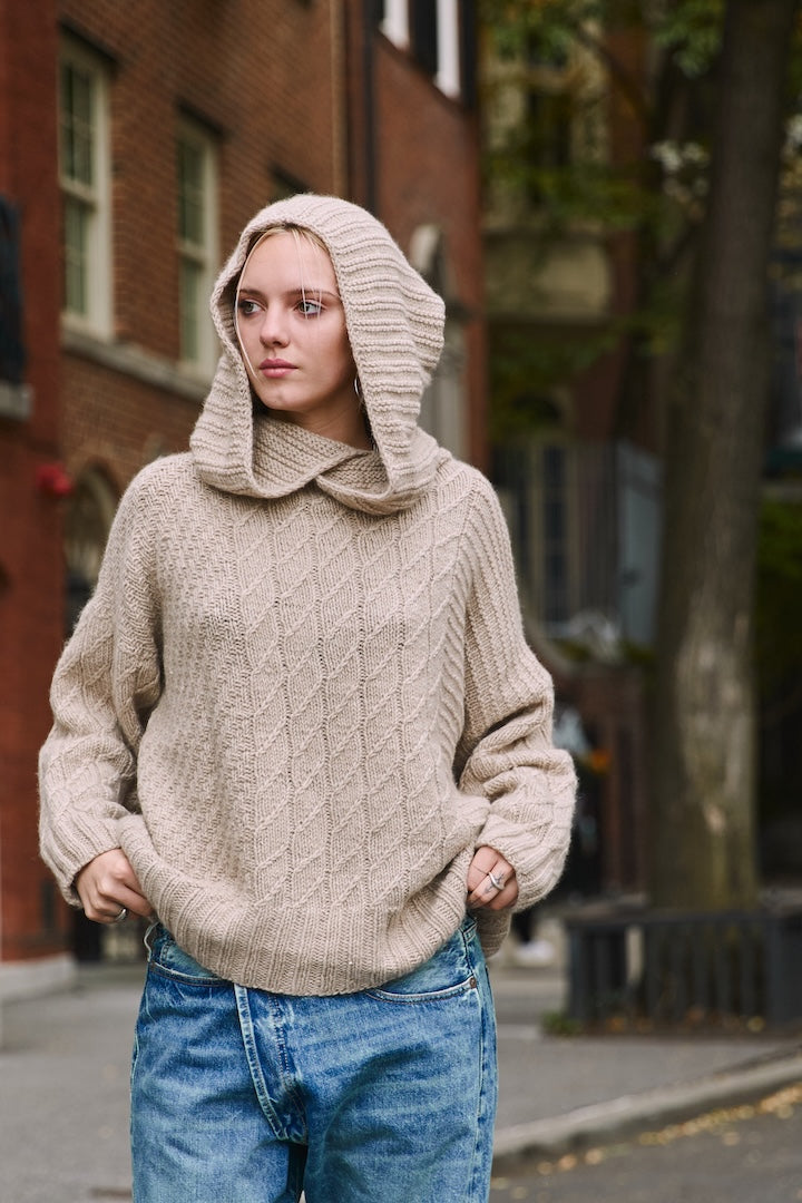 Seigfried Hooded Sweater