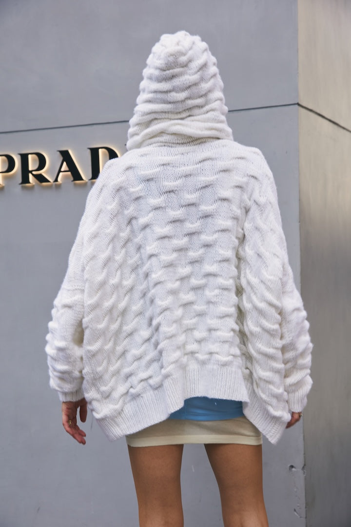 Shar Pei Hooded Sweater detail view