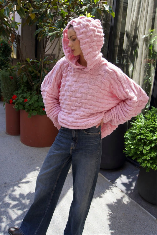 Shar Pei Hooded Sweater